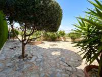 Playa/Reventa - V - Algorfa - La finca