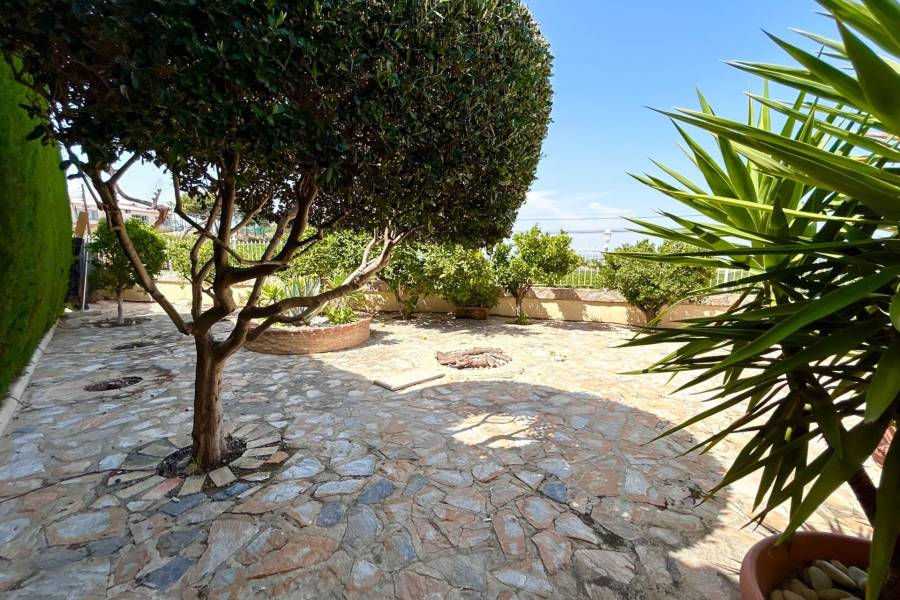 Playa/Reventa - V - Algorfa - La finca