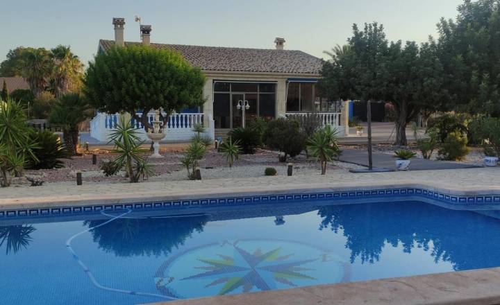 h - Weiterverkauf / Strand - Elche - Elche