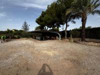 Playa/Reventa - V - Elche pedanias - Valverde