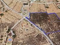 Beach/Resale - Country House - Elche - Balsares