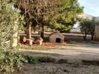 Пляж / Перепродажа - h - Matola - Algoda-Matola-Llano de San José