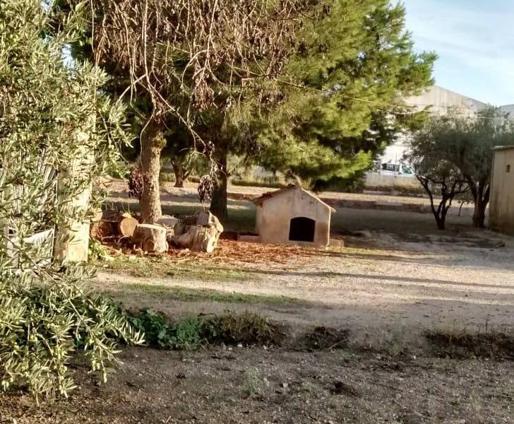 Пляж / Перепродажа - h - Matola - Algoda-Matola-Llano de San José