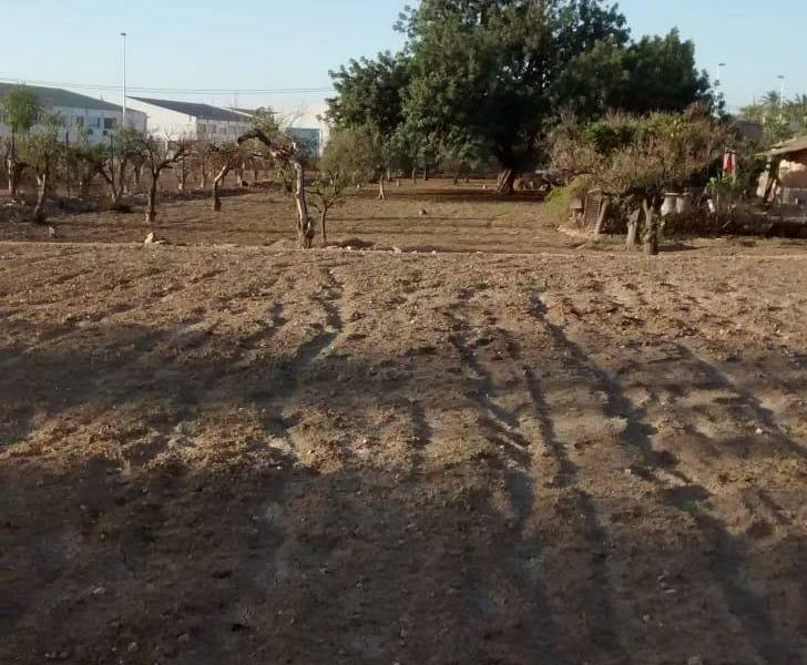 Пляж / Перепродажа - h - Matola - Algoda-Matola-Llano de San José