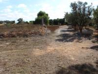 Beach/Resale - Country House - Elche - Altabix