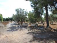 Beach/Resale - Country House - Elche - Altabix