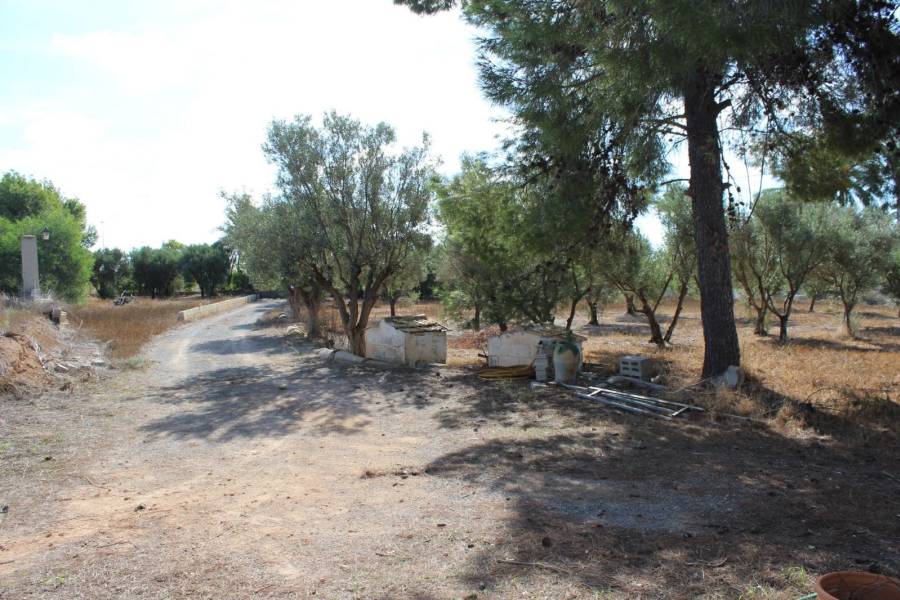 Beach/Resale - Country House - Elche - Altabix