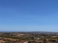 Weiterverkauf / Strand - c - Elche pedanias - TORRELLANO