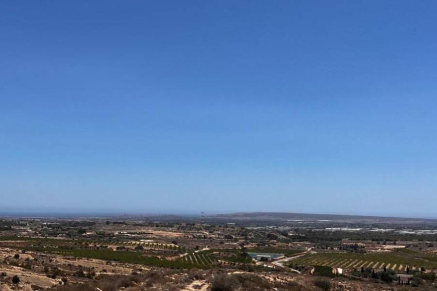 Weiterverkauf / Strand - c - Elche pedanias - TORRELLANO