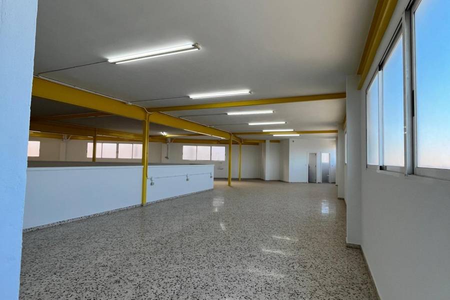 Playa/Reventa - I - Elche - Toscar