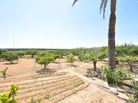 Beach/Resale - Country House - Elche - Sierra