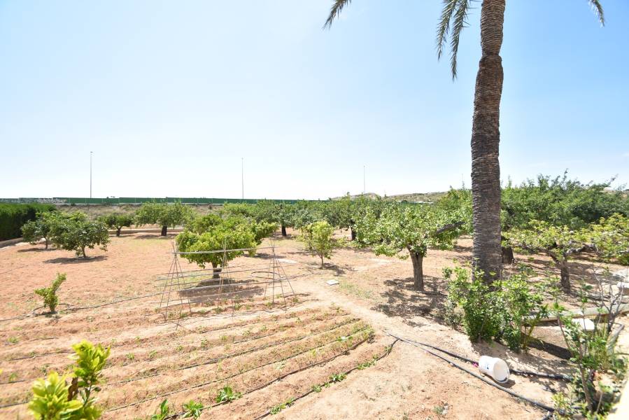 Beach/Resale - Country House - Elche - Sierra