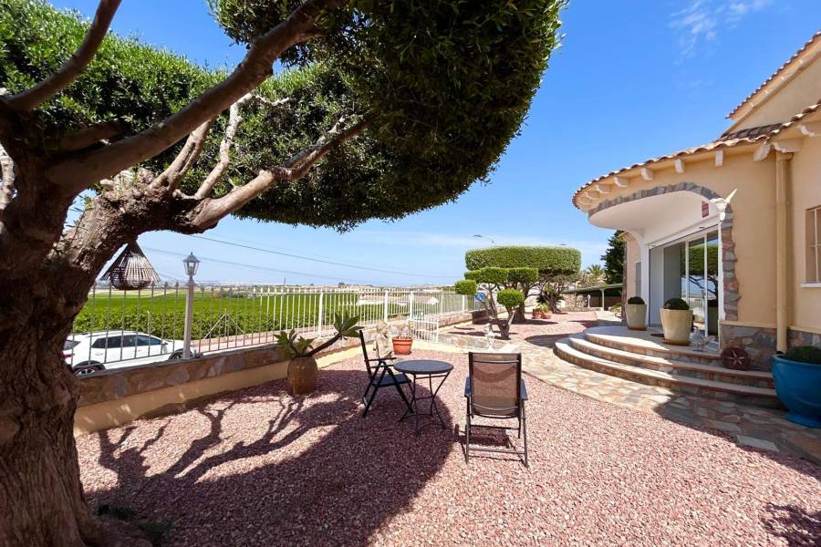 Playa/Reventa - V - Algorfa - La finca