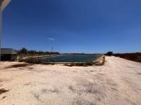 Weiterverkauf / Strand - c - Elche pedanias - TORRELLANO