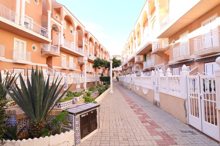 Rental - Apartament - La Mata - Puerto Romano/PLAYA
