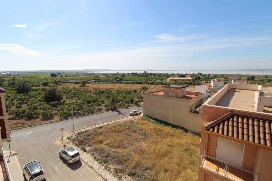 Resale - Apartament - Los Montesinos - Pueblo