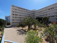 Weiterverkauf  - Wohnung - La Mata - Torreblanca