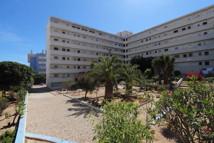 Weiterverkauf  - Wohnung - La Mata - Torreblanca