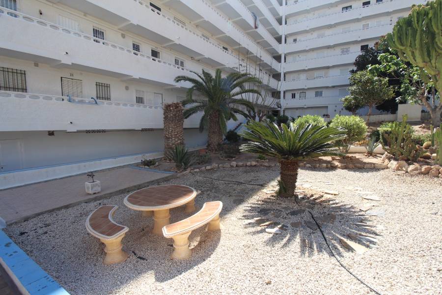 Weiterverkauf  - Wohnung - La Mata - Torreblanca