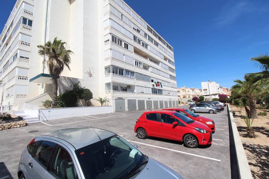 Weiterverkauf  - Wohnung - La Mata - Torreblanca