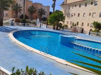 Weiterverkauf  - Wohnung - Torrevieja - San Luis