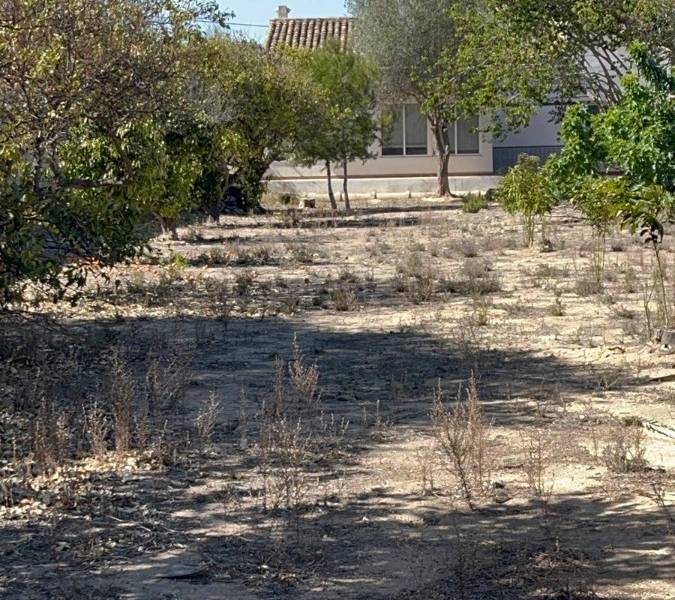 Återförsäljning - Hus på landet - Rojales - San Bruno