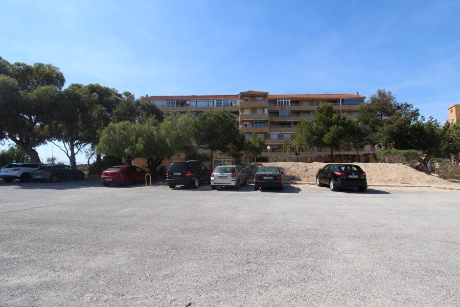 Resale - Apartament - Guardamar - Urbanizaciones /PLAYA