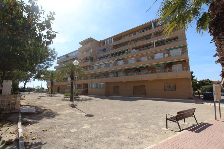 Weiterverkauf  - Wohnung - Guardamar - Urbanizaciones /PLAYA