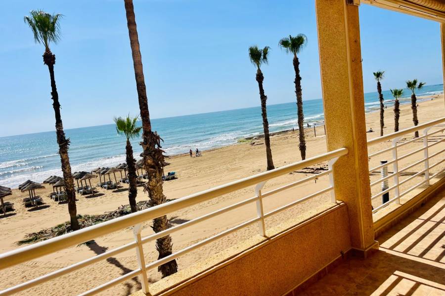 Occasion - Appartement - La Mata - Centro/PLAYA