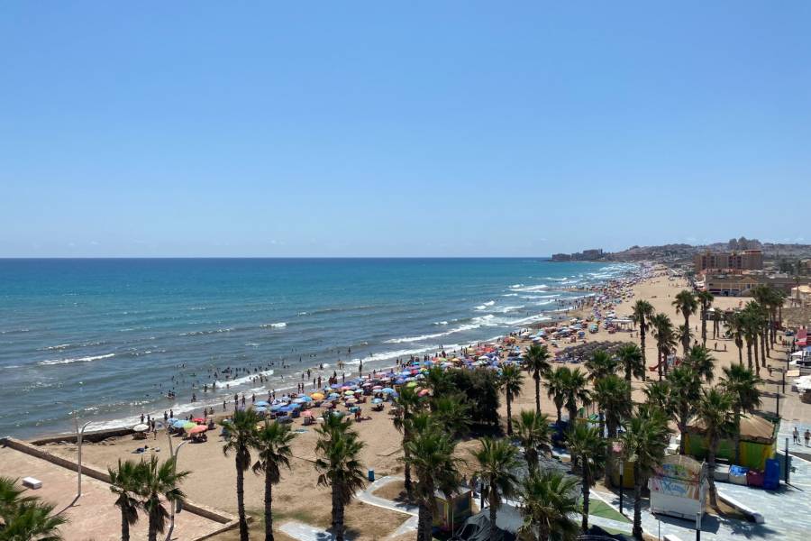 Resale - Apartament - La Mata - Pueblo/ PLAYA