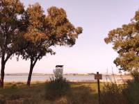 Återförsäljning - Lägenhet - La Mata - Pueblo/ PLAYA