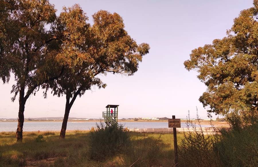 Återförsäljning - Lägenhet - La Mata - Pueblo/ PLAYA