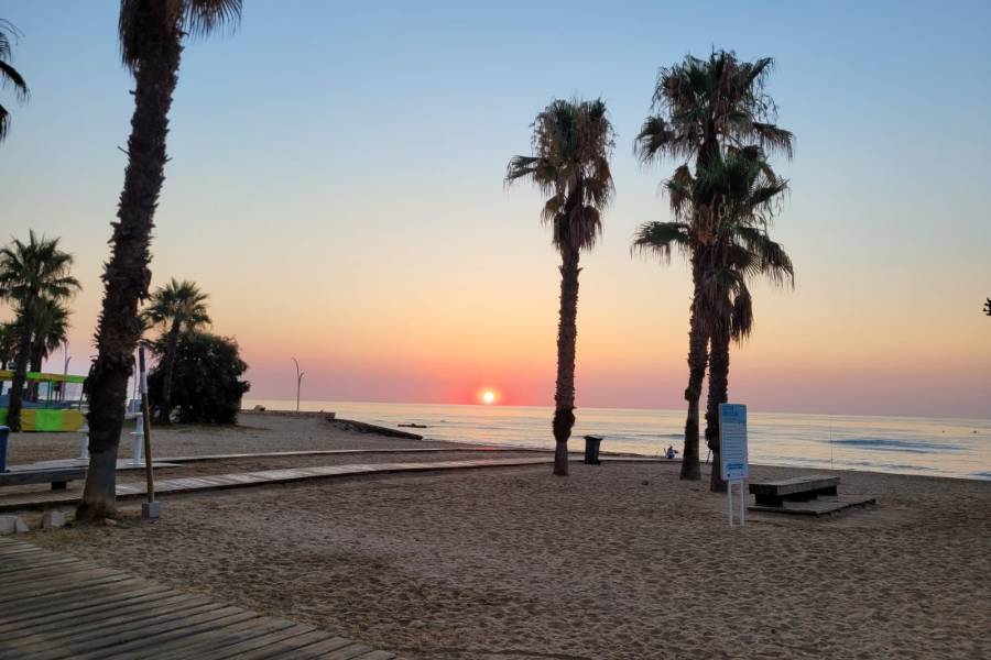 Återförsäljning - Kommersiella lokaler - La Mata - PLAYA