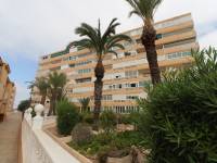 Location à long terme - Appartement - La Mata - Los Europeos/ PLAYA