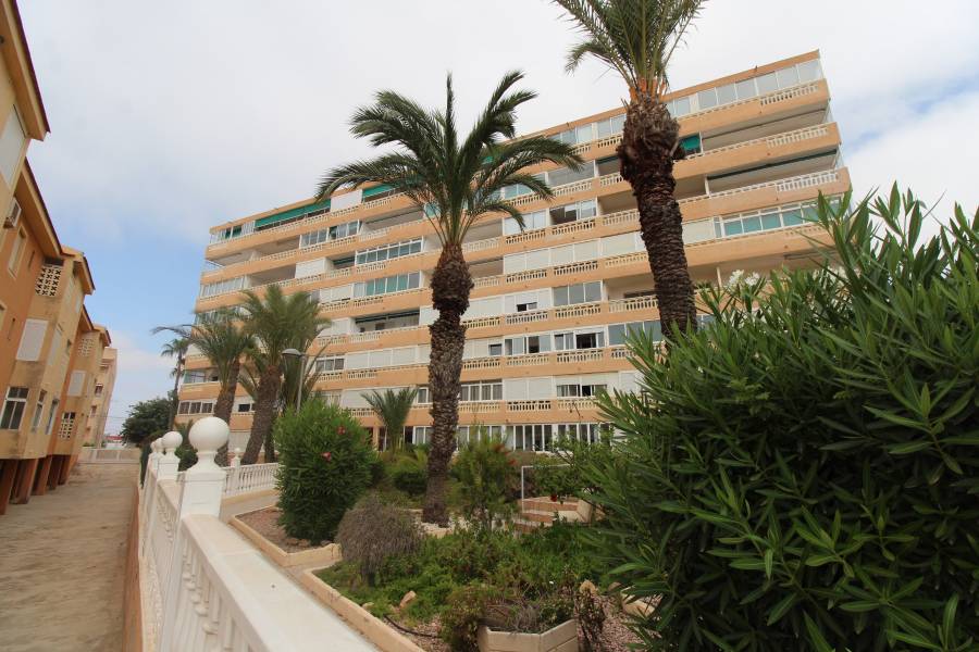 Alquiler larga duración  - Apartamento - La Mata - Los Europeos/ PLAYA