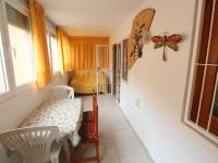 Long Term Rental  - Apartament - La Mata - Los Europeos/ PLAYA