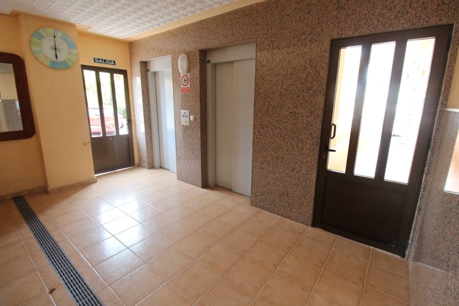 Alquiler larga duración  - Apartamento - La Mata - Los Europeos/ PLAYA