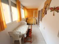 Alquiler larga duración  - Apartamento - La Mata - Los Europeos/ PLAYA