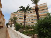 Alquiler larga duración  - Apartamento - La Mata - Los Europeos/ PLAYA