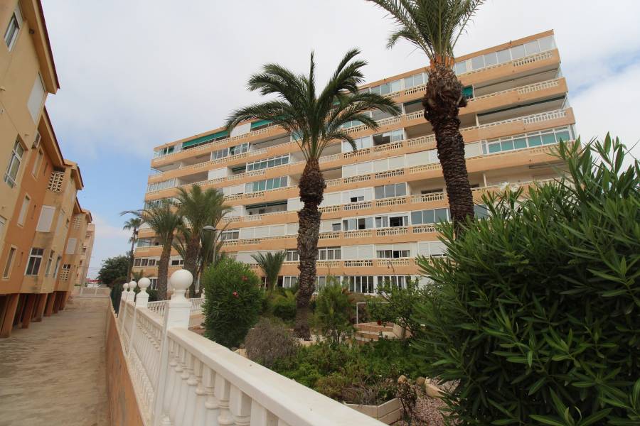 Location à long terme - Appartement - La Mata - Los Europeos/ PLAYA