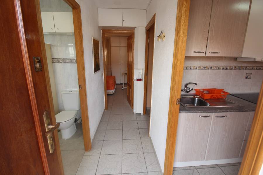 Long Term Rental  - Apartament - La Mata - Los Europeos/ PLAYA