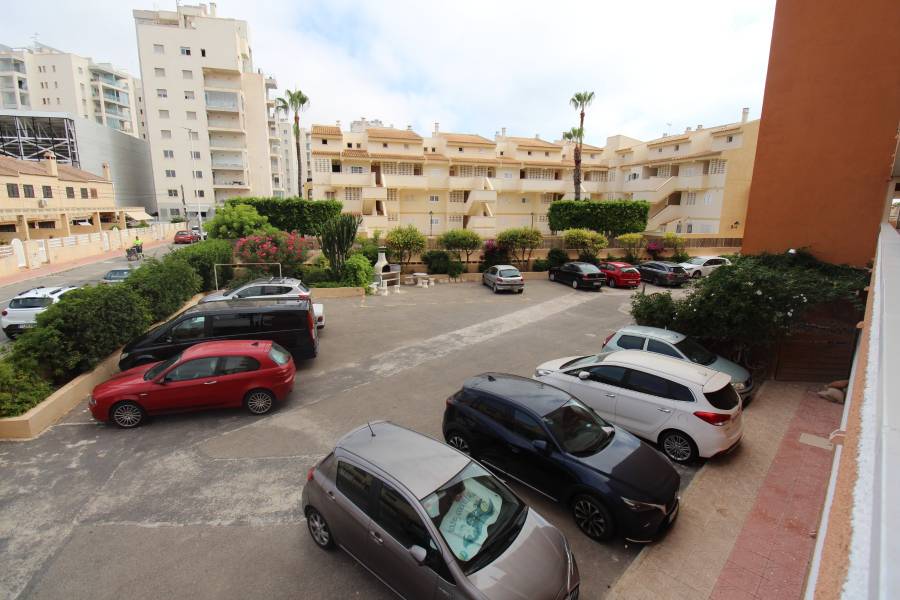 Alquiler larga duración  - Apartamento - La Mata - Los Europeos/ PLAYA