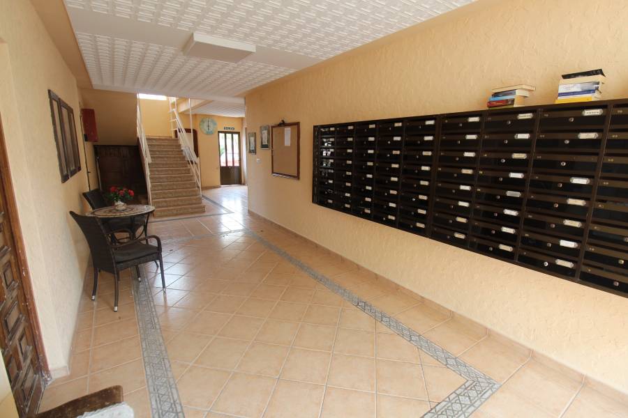 Location à long terme - Appartement - La Mata - Los Europeos/ PLAYA