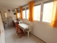 Alquiler larga duración  - Apartamento - La Mata - Los Europeos/ PLAYA