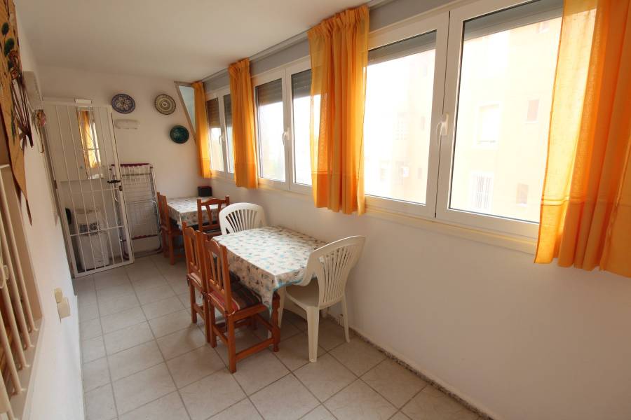 Alquiler larga duración  - Apartamento - La Mata - Los Europeos/ PLAYA