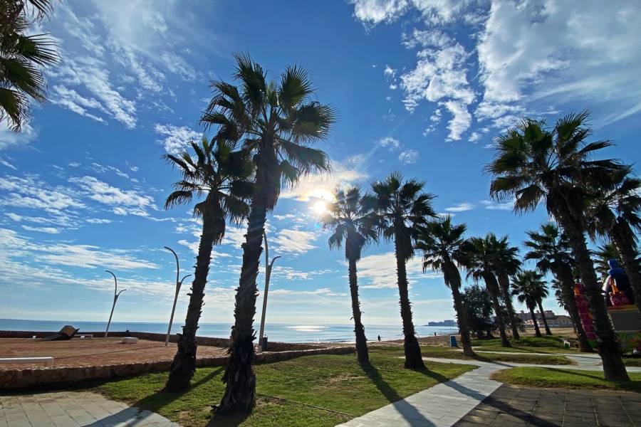 Resale - Apartament - La Mata - Los Europeos/ PLAYA