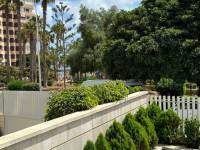 Resale - Apartament - La Mata - Centro/PLAYA