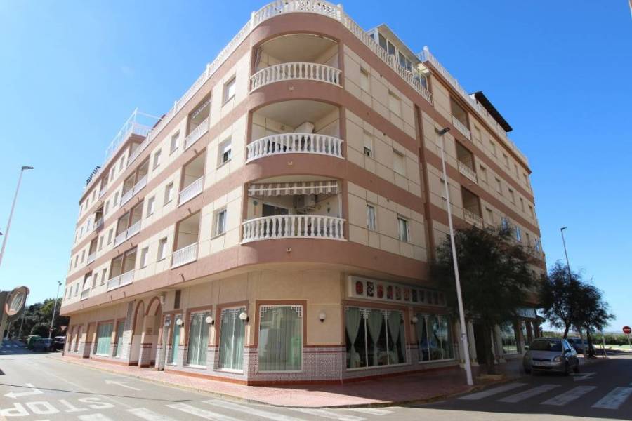 Resale - Apartament - La Mata - Pueblo/ PLAYA