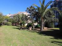 Reventa - Apartamento - La Mata - Pueblo/ PLAYA