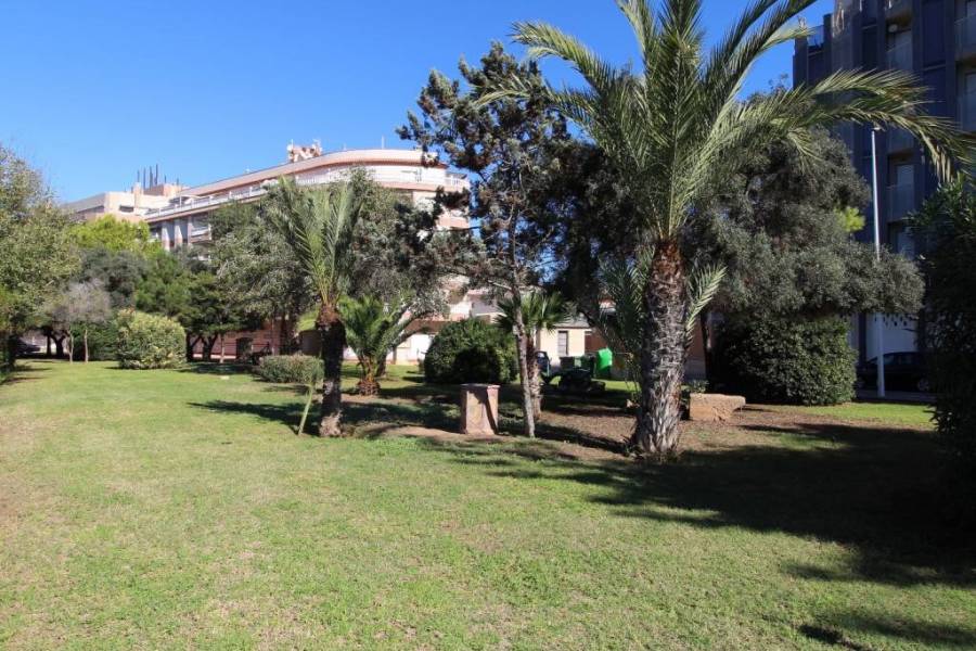 Resale - Apartament - La Mata - Pueblo/ PLAYA